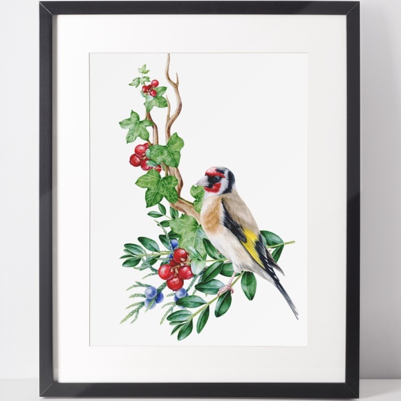 Goldfinch Bird Wall Art Watercolor Illustration Print Poster Card Unframed - Picture 2 of 7